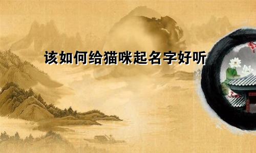 该如何给猫咪起名字好听