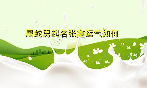 属蛇男起名张鑫运气如何