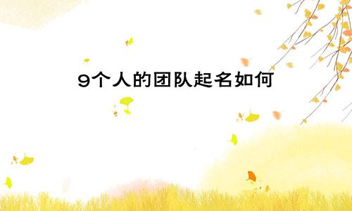 9个人的团队起名如何