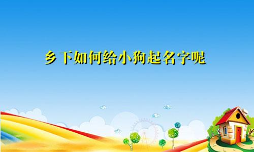 乡下如何给小狗起名字呢