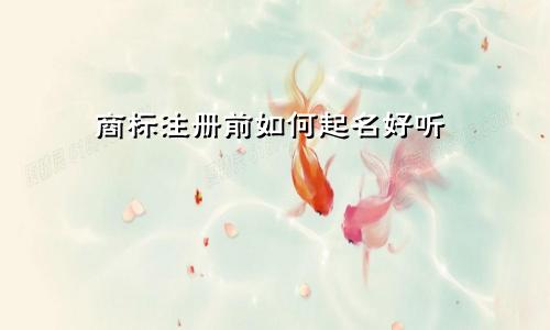 商标注册前如何起名好听
