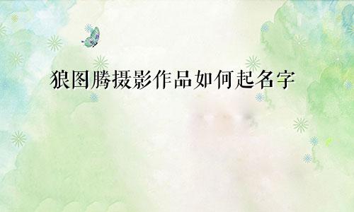 狼图腾摄影作品如何起名字