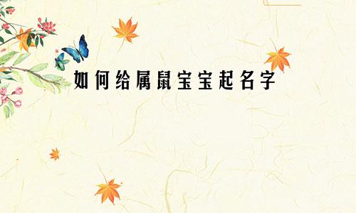 如何给属鼠宝宝起名字