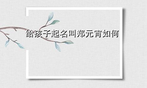 给孩子起名叫郑元宵如何