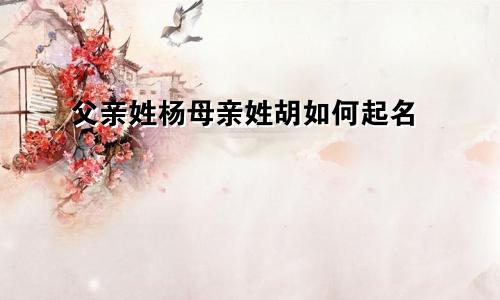 父亲姓杨母亲姓胡如何起名