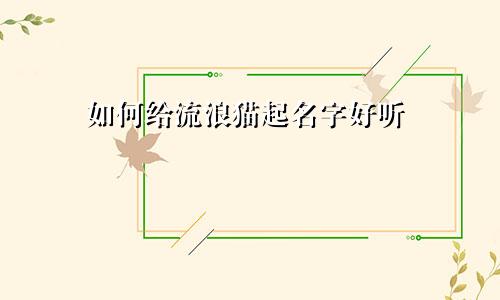 如何给流浪猫起名字好听