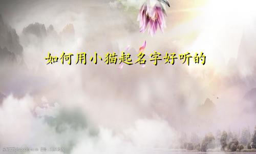 如何用小猫起名字好听的