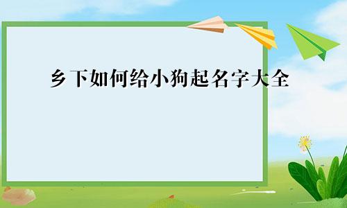 乡下如何给小狗起名字大全