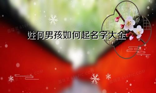 姓何男孩如何起名字大全