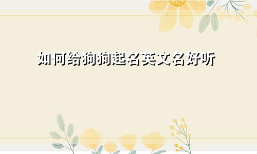 如何给狗狗起名英文名好听