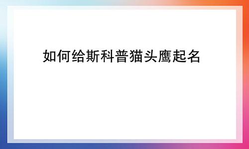 如何给斯科普猫头鹰起名