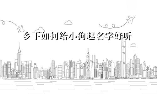 乡下如何给小狗起名字好听