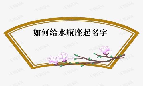 如何给水瓶座起名字