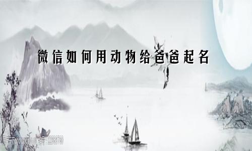 微信如何用动物给爸爸起名