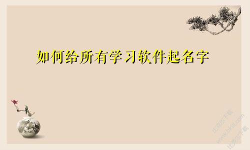 如何给所有学习软件起名字