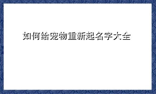 如何给宠物重新起名字大全
