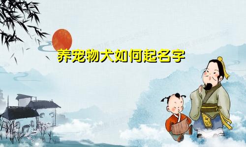 养宠物犬如何起名字