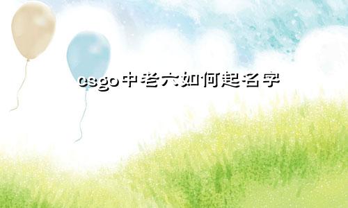 csgo中老六如何起名字