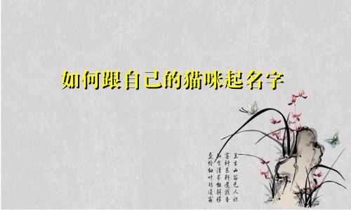 如何跟自己的猫咪起名字