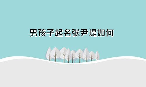 男孩子起名张尹堤如何