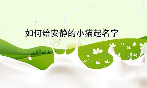 如何给安静的小猫起名字