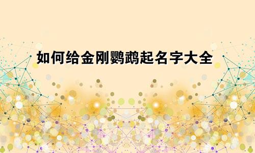 如何给金刚鹦鹉起名字大全