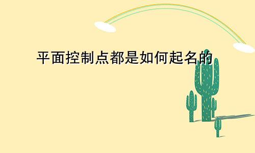 平面控制点都是如何起名的