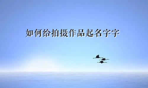 如何给拍摄作品起名字字