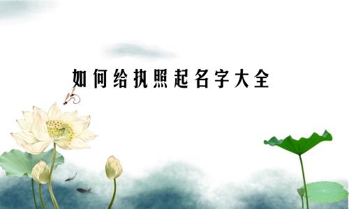 如何给执照起名字大全