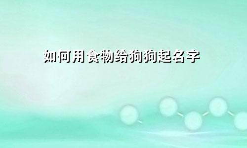 如何用食物给狗狗起名字
