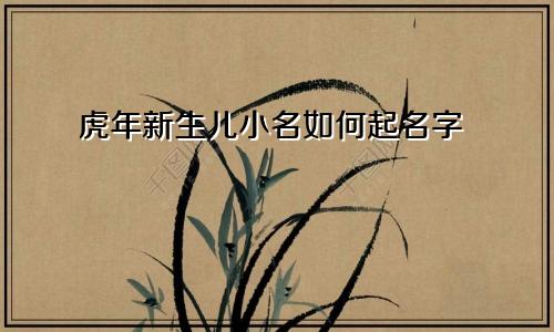 虎年新生儿小名如何起名字