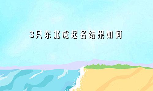 3只东北虎起名结果如何