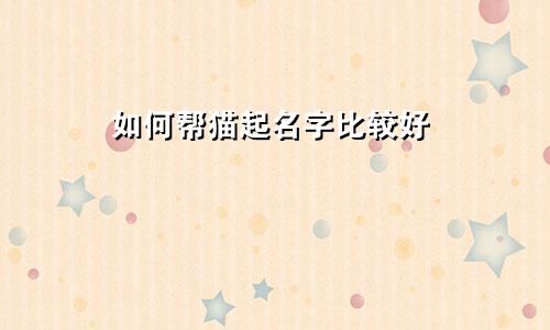 如何帮猫起名字比较好