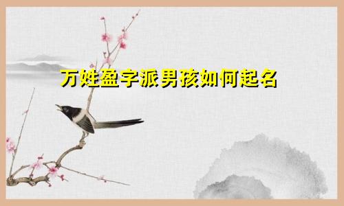 万姓盈字派男孩如何起名