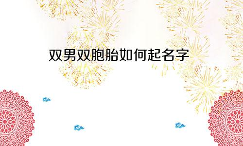 双男双胞胎如何起名字