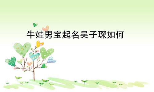 牛娃男宝起名吴子琛如何