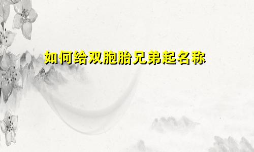 如何给双胞胎兄弟起名称