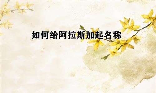 如何给阿拉斯加起名称