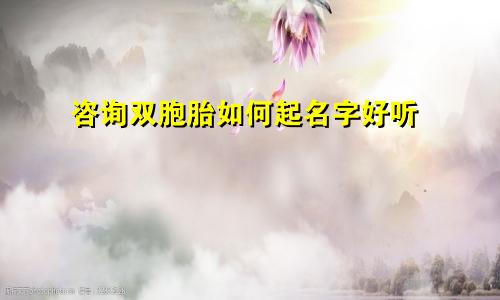 咨询双胞胎如何起名字好听