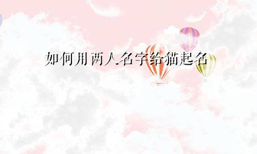 如何用两人名字给猫起名
