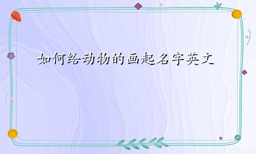 如何给动物的画起名字英文
