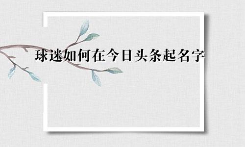 球迷如何在今日头条起名字