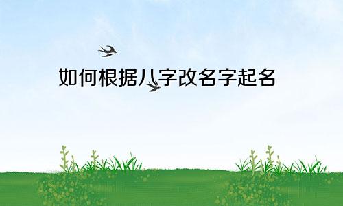 如何根据八字改名字起名