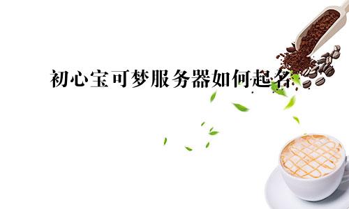 初心宝可梦服务器如何起名