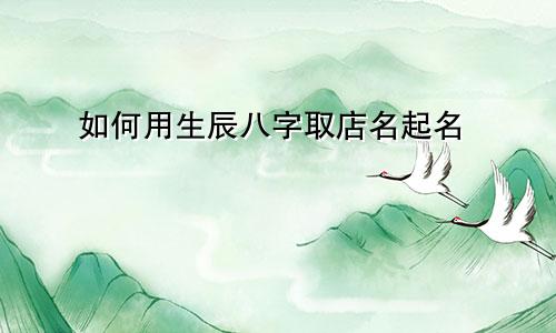 如何用生辰八字取店名起名