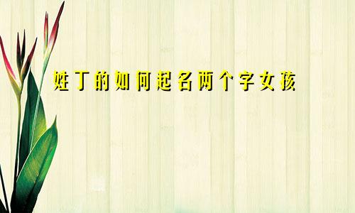 姓丁的如何起名两个字女孩