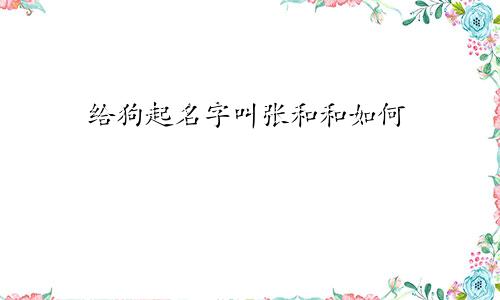 给狗起名字叫张和和如何