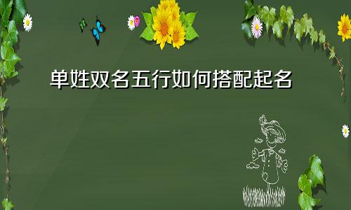 单姓双名五行如何搭配起名