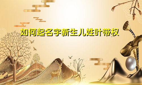 如何起名字新生儿姓叶带权