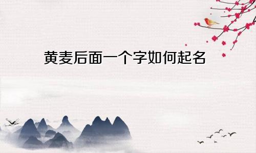 黄麦后面一个字如何起名